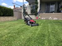 Greenlawn Mowing & Maintenance image 3